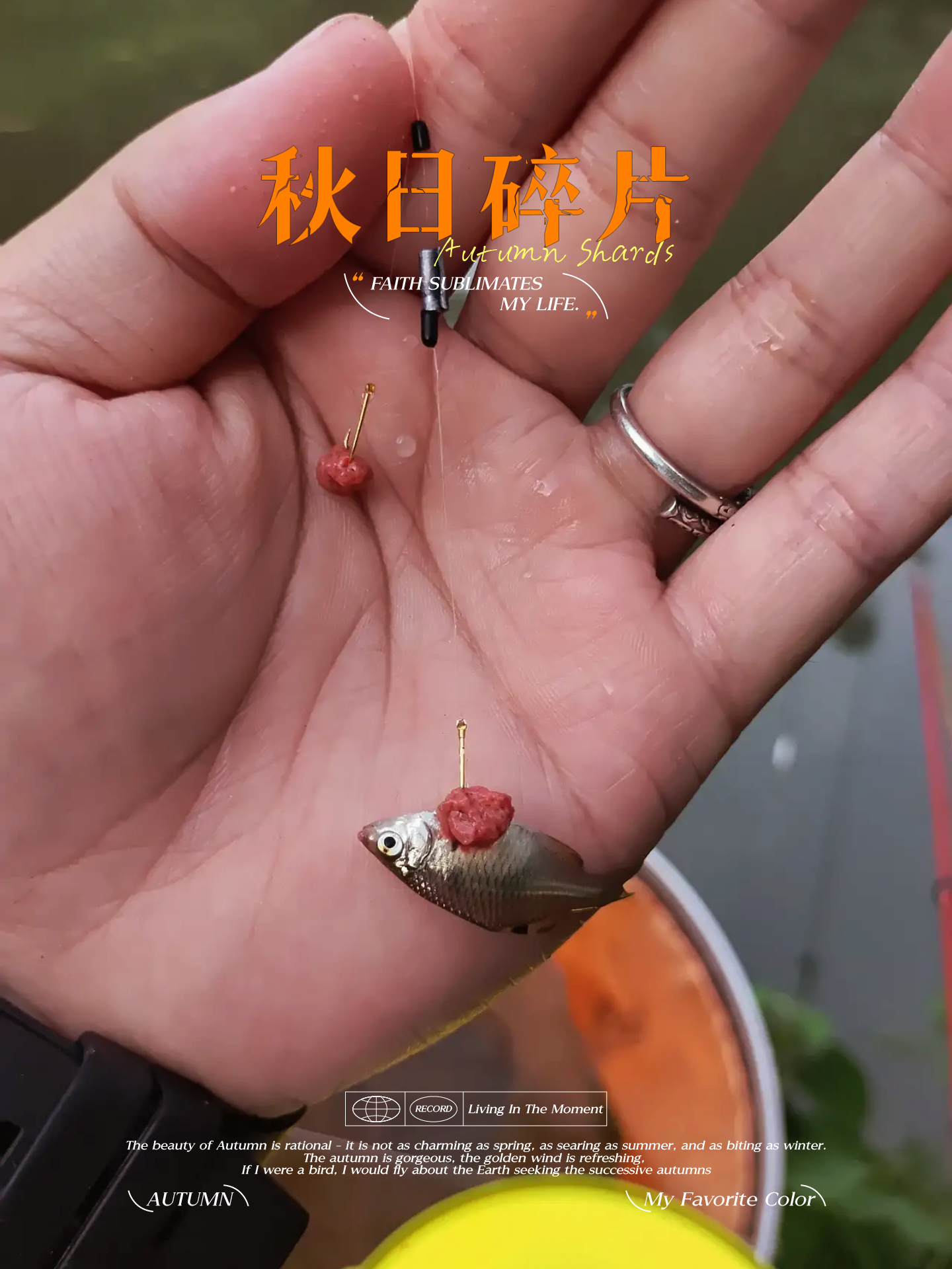 快乐垂钓频道(快乐垂钓频道正在直播2024)